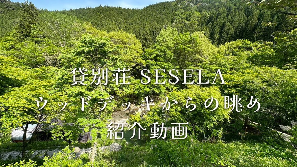 【ウッドデッキからの眺め編】山梨県道志村1日1組様限定の貸別荘 SESELA〜セセラ〜