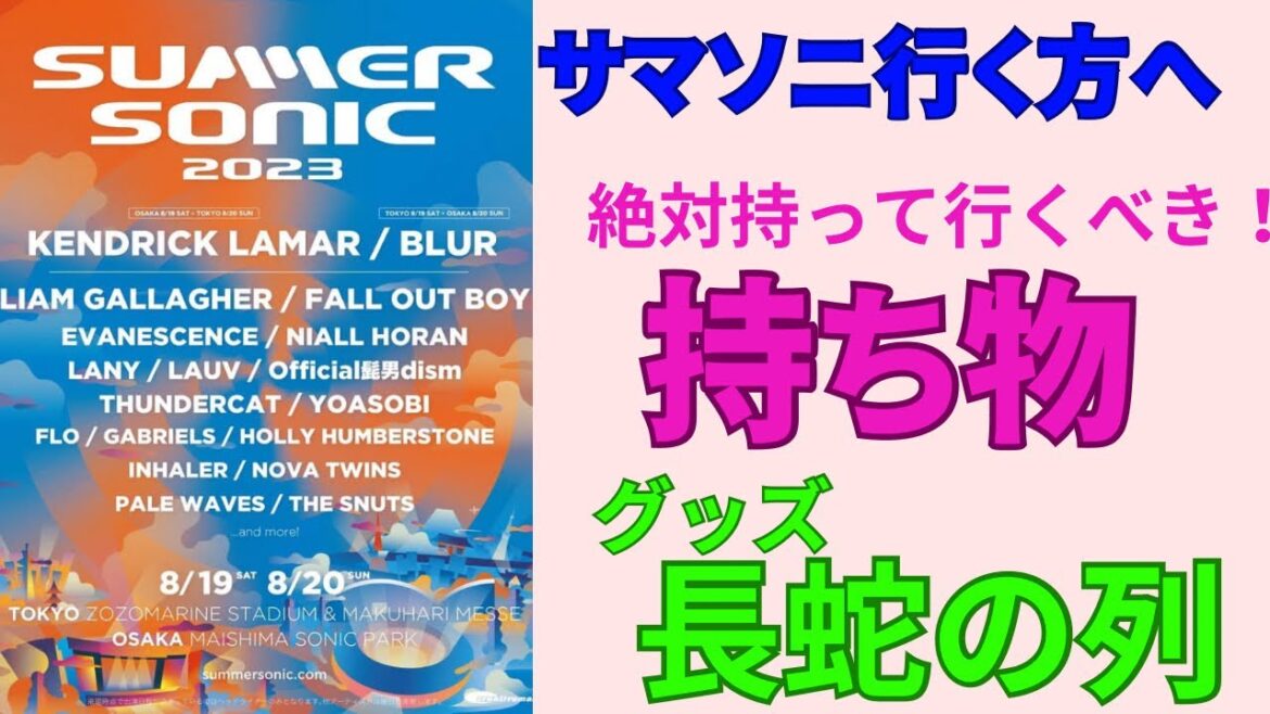 【サマソニ】どんな服装が最適？熱中症予防にはこれ！飲み物はどれぐらい必要？フェス参戦の方必聴！