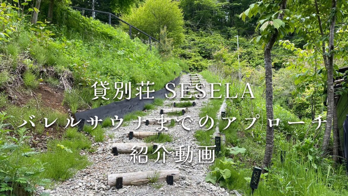 【バレルサウナまでのアプローチ編】山梨県道志村1日1組様限定の貸別荘 SESELA〜セセラ〜