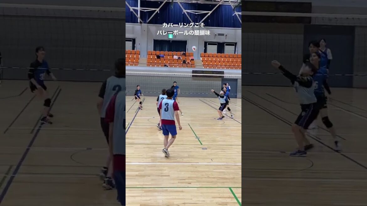 【バレーの醍醐味】男女混合バレーボール大会のプレー【バレーボール大会】【クルーズカップ】#shorts #バレーボール #混合バレーボール
