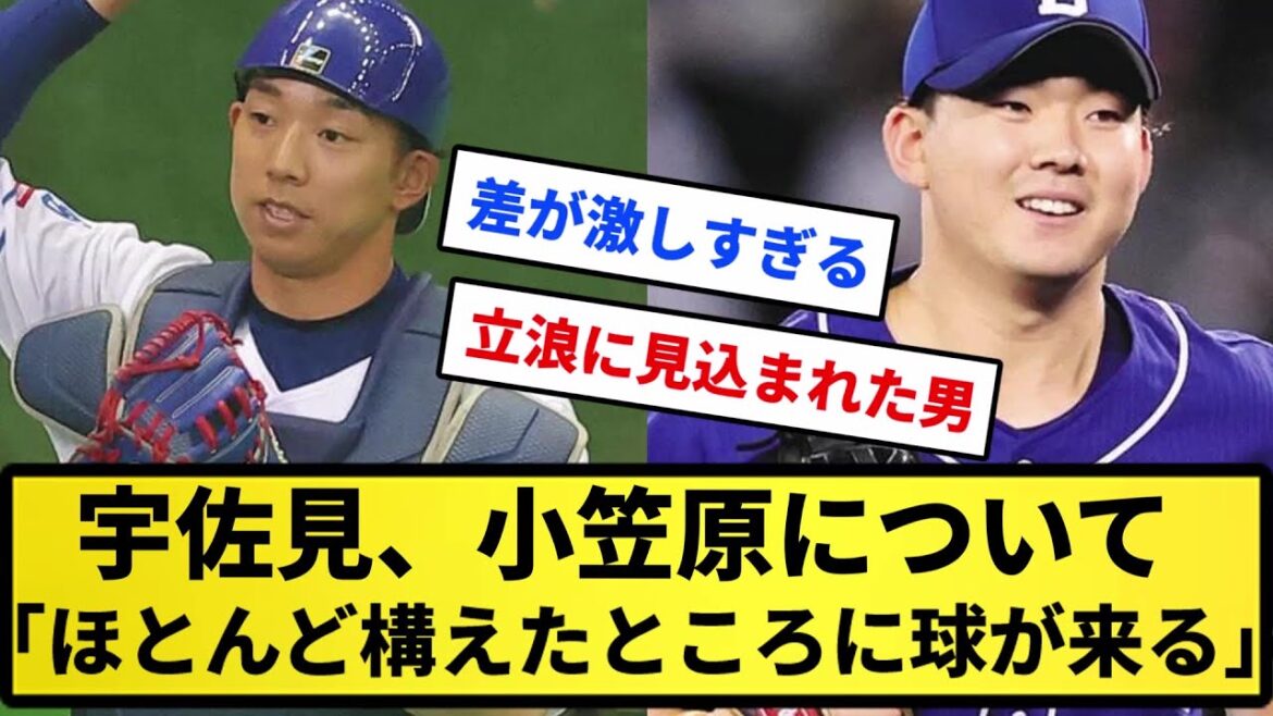 【日ハムの投手は？】中日・宇佐見、小笠原（102球完封勝ち）について「ほとんど構えたところに球が来る。驚いた」【反応集】【プロ野球反応集】【2chスレ】【5chスレ】