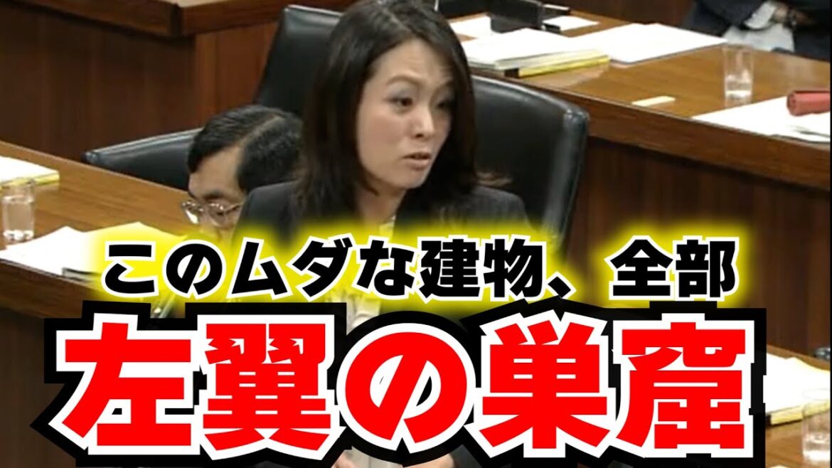 【杉田水脈の戦い】杉田水脈が左翼たちの収入源「男女共同参画」を徹底追求！日本の在るべき國體を守る戦いの軌跡