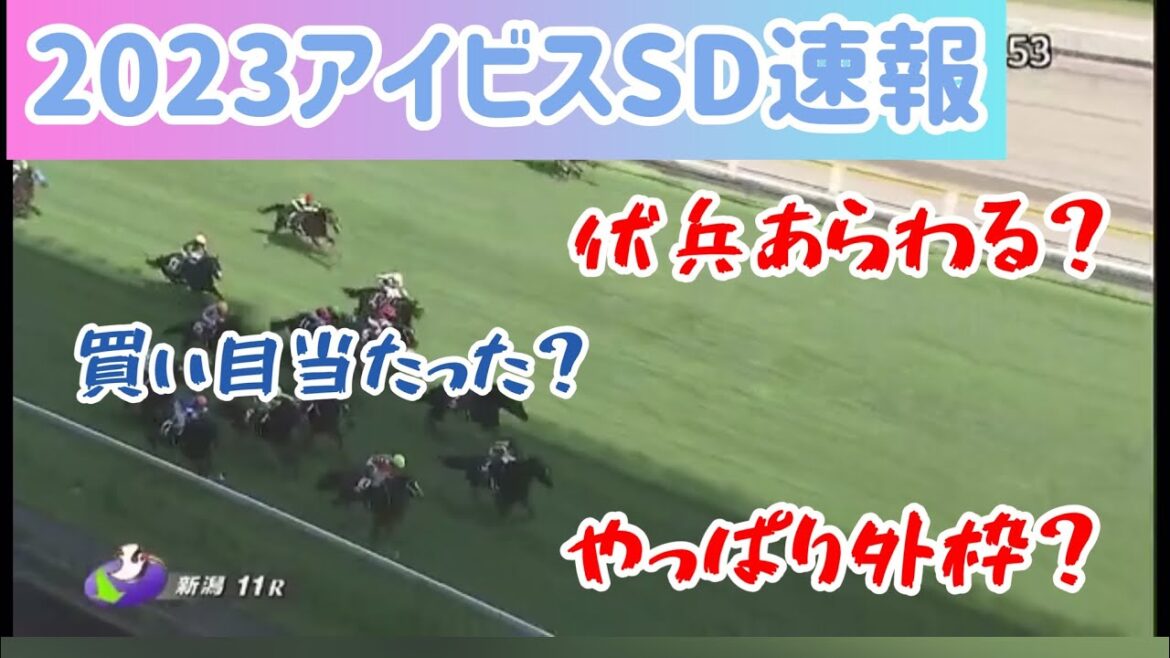 【2023アイビスSD速報】やっぱり外枠有利？買い目は的中？【ゆきとさくら】