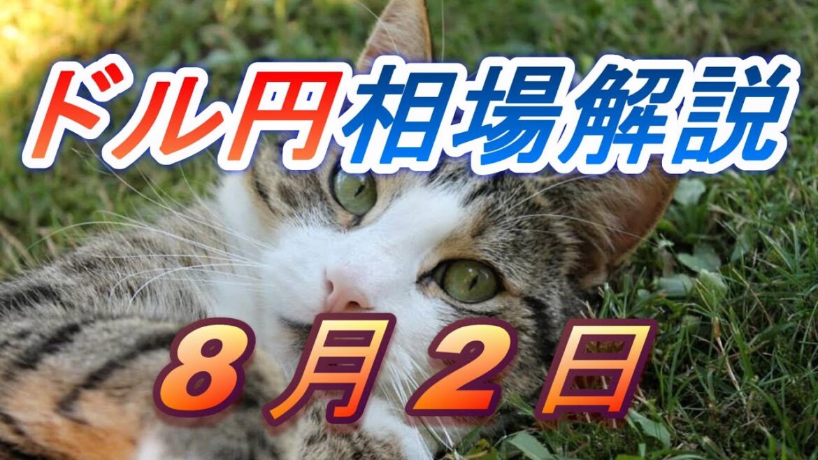 【TAKA FX】ドル円為替相場の前日の動きをチャートから解説。日経平均、NYダウ、金チャートも。8月2日