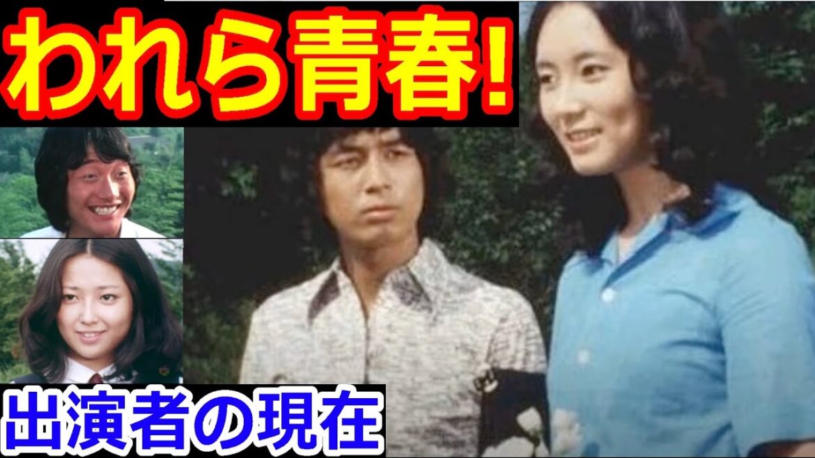 われら青春のキャストの現在【出演者は今どうしてる？】