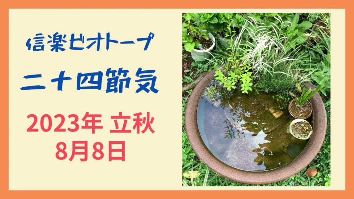 信楽ビオトープ二十四節気  大暑　2023年8月8日