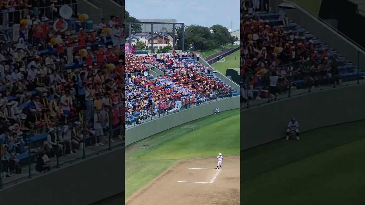 國學院栃木　エビカニクス　2023年　第105回全国高校野球選手権記念栃木大会　準決勝