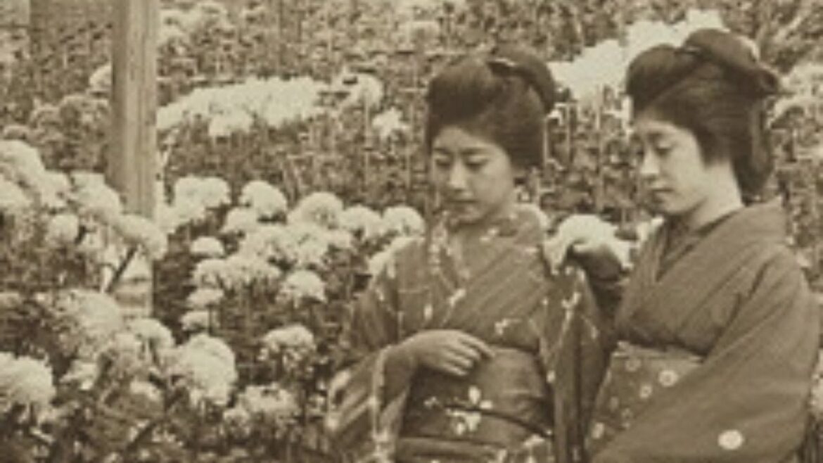 忘れられた日本 菊の節句のお祭りは江戸名物　江戸唯一の春日