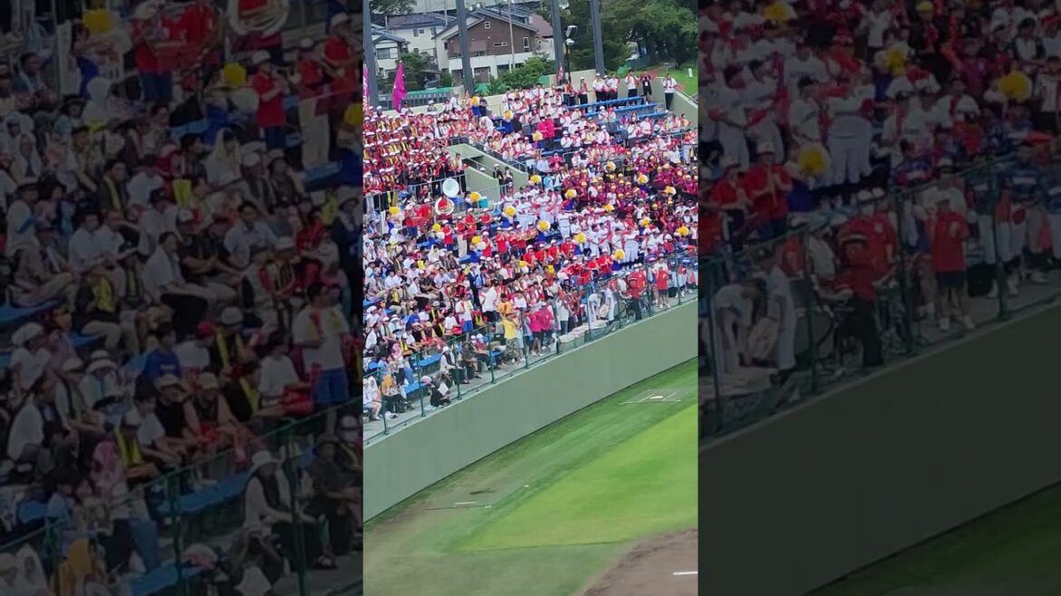第105回全国高校野球選手権記念栃木大会　準決勝　文星芸大附ー國學院栃木