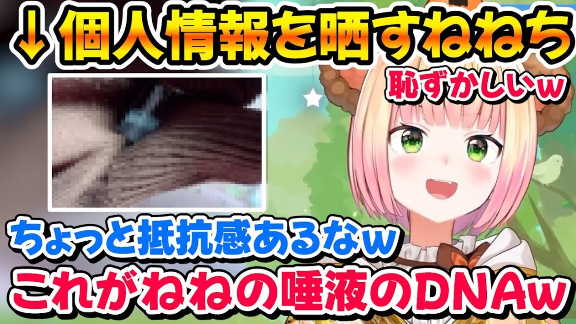 自由研究で個人情報を全世界に公開するねねちｗ【ホロライブ/桃鈴ねね/切り抜き】