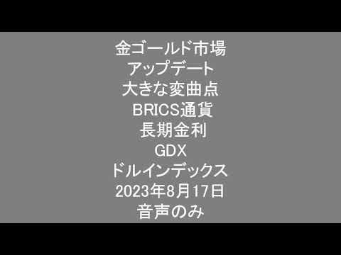 金ゴールド市場アップデート 大きな変曲点 BRICS通貨 長期金利 GDX ドルインデックス 2023年8月17日 音声のみ 金ゴールド市場アップデート 大きな変曲点 BRICS通貨 長期金利 GDX ドルインデックス 2023年8月17日 音声のみ