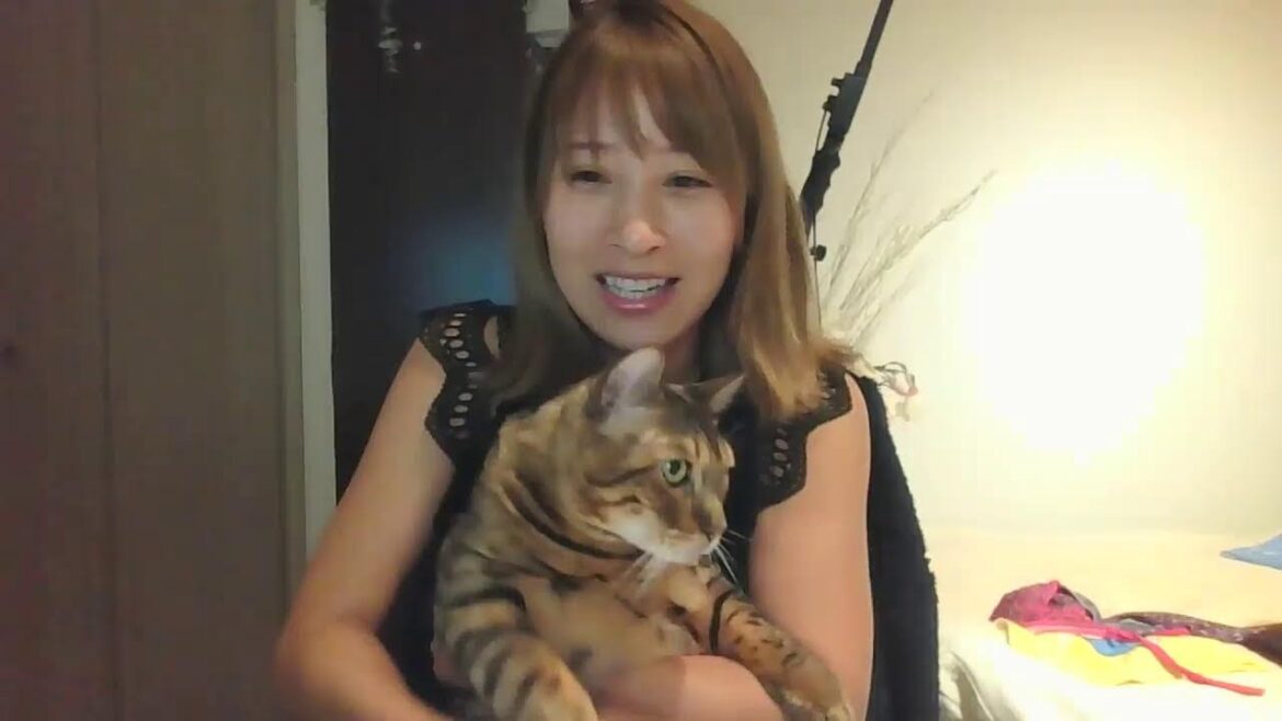 電験二種受けてきたよ！！採点生配信ライブ☆