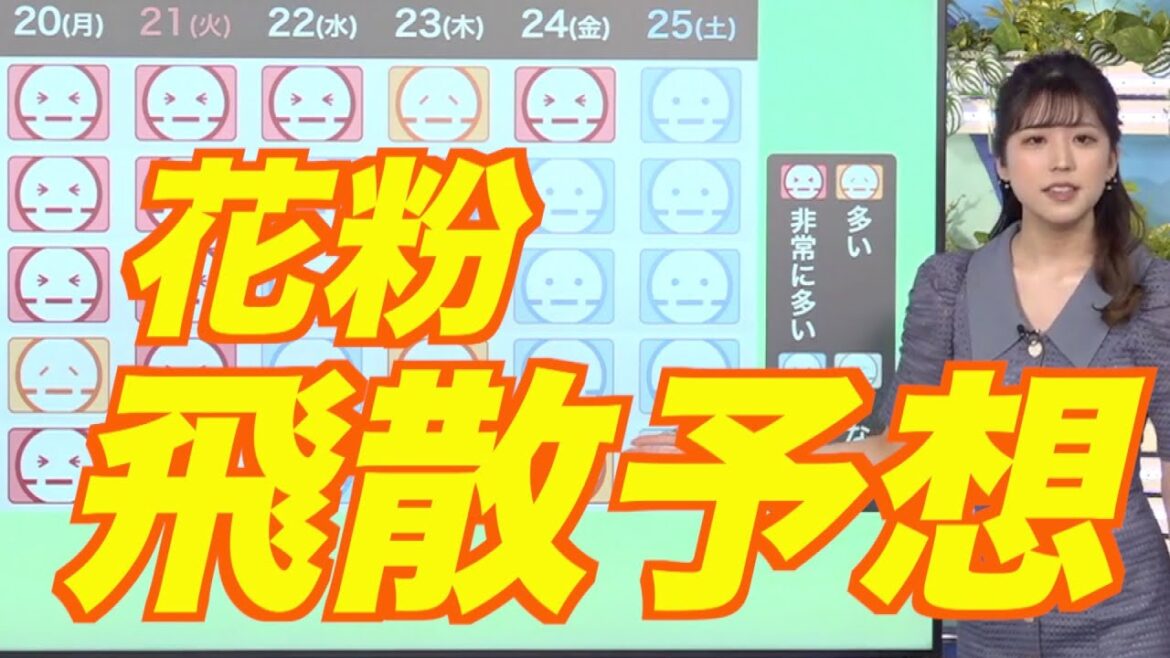 ＜花粉飛散予想＞週明けにかけ晴天となり、各地で"非常に多い"予想