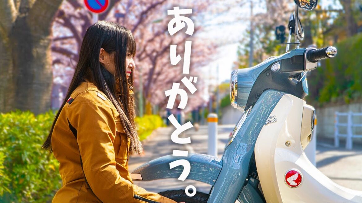元社畜の私が、スーパーカブに乗ったら、人生180度変わった！ある女子の話