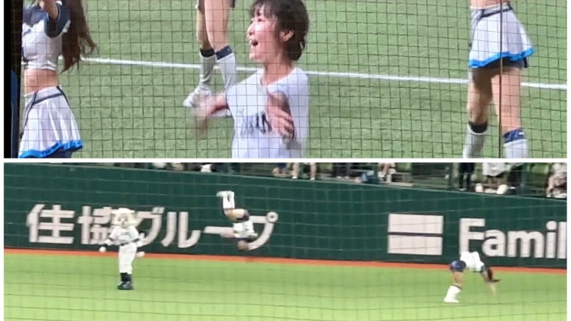 【今夜はバク宙も！】ライナ、bluelegends、惣田紗莉渚さんによる『吠えろライオンズ』【西武vsロッテ】2023/7/26