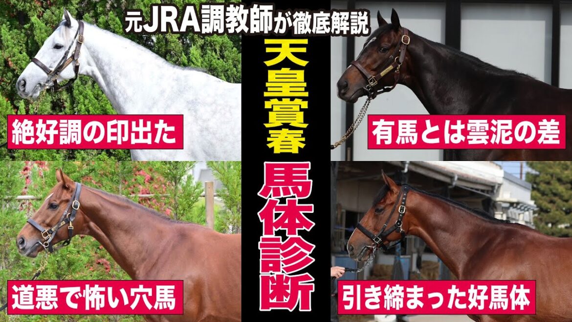 【天皇賞・春2023】中村均元調教師が馬体診断　馬体ランキング上位５頭＆道悪で狙える穴馬を１頭紹介《東スポ競馬ニュース》