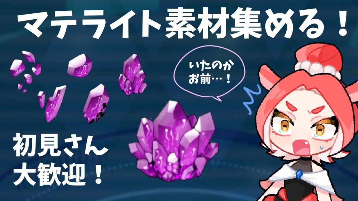 【メガトン級ムサシX】参加型！初心者さん一緒にやろー！【Switch/ダコタ】