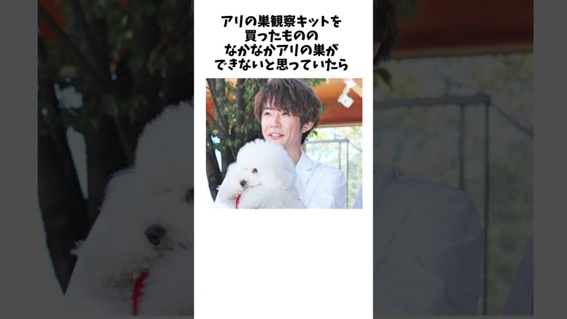 相葉雅紀に関する雑学ｗｗｗｗ#shorts