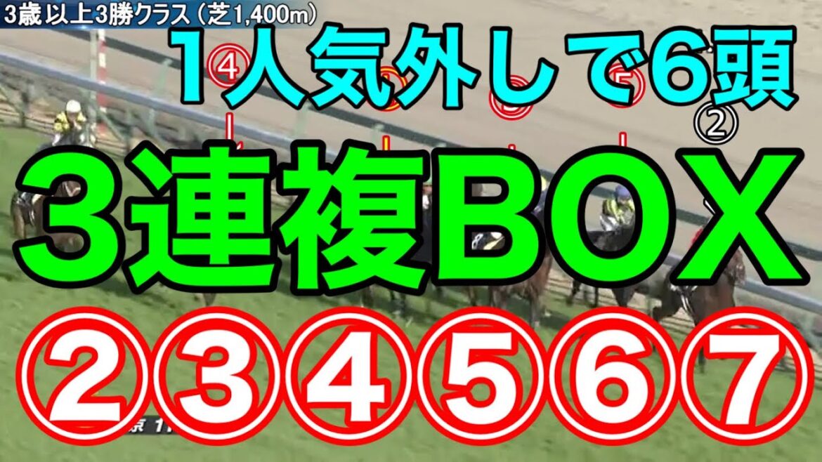 【競馬検証】②〜⑦人気の6頭で3連複BOX！