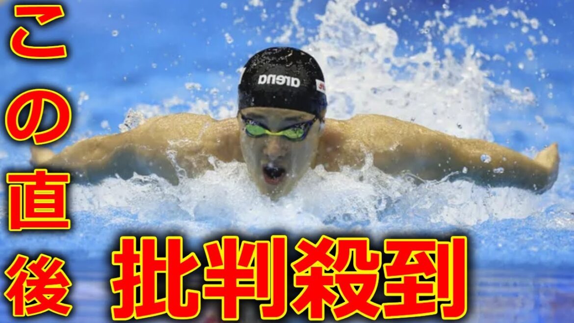 世界水泳 瀬戸大也 銅メダル に批判殺到。許せない。(レオンマルシャン 世界記録)