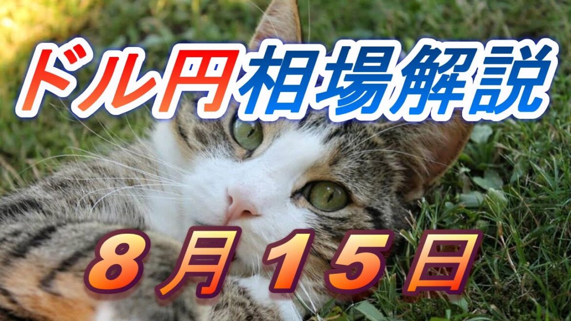 【TAKA FX】ドル円為替相場の前日の動きをチャートから解説。日経平均、NYダウ、金チャートも。8月15日 【TAKA FX】ドル円為替相場の前日の動きをチャートから解説。日経平均、NYダウ、金チャートも。8月15日