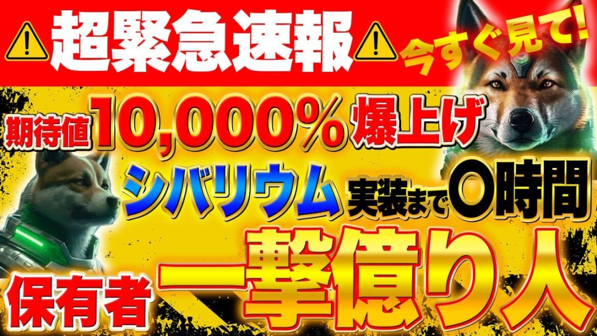 爆弾発言【シバイヌコイン】※世界初情報※SHIB爆上げの真相、全て分かりました！一撃億り人【仮想通貨】【シバリウム】