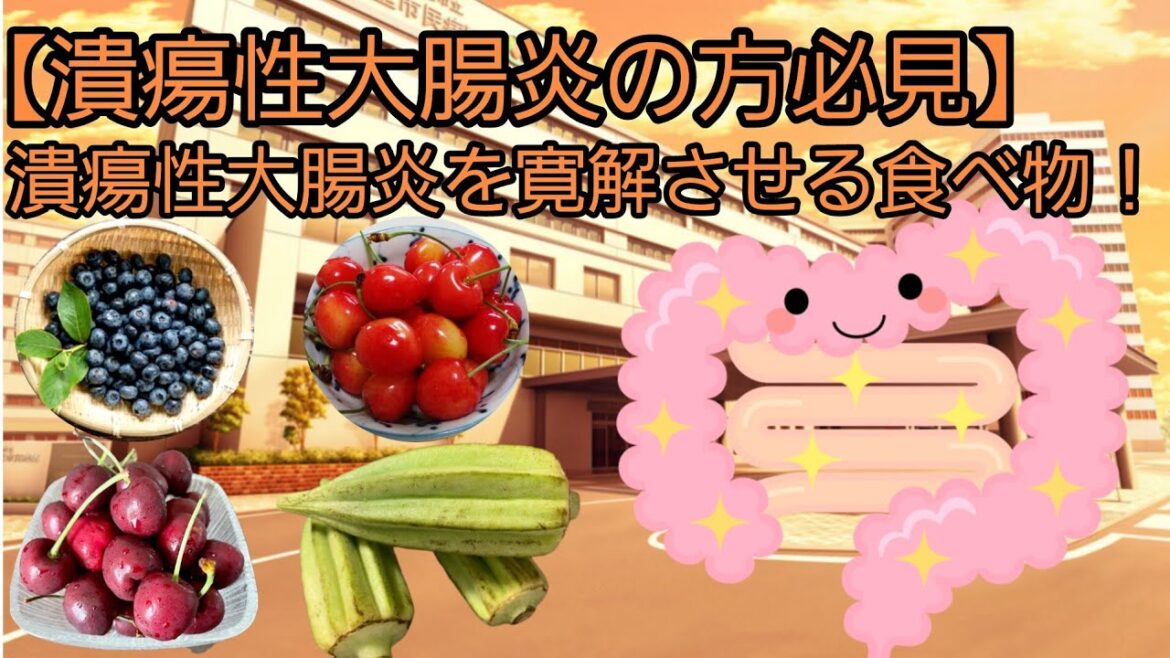 【潰瘍性大腸炎の方必見】経験者が語る今実践していること❕回復してきていること❕概要欄も必ずお読みください🙇 【潰瘍性大腸炎の方必見】経験者が語る今実践していること❕回復してきていること❕概要欄も必ずお読みください🙇