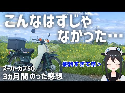 【初めてのカブ】カブしか乗らなくなる!?3ヵ月カブにのって思ったこと 【初めてのカブ】カブしか乗らなくなる!?3ヵ月カブにのって思ったこと