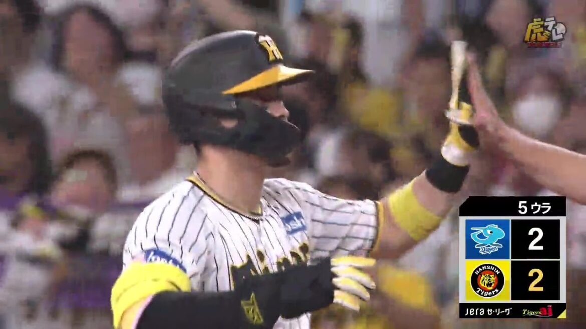 【同点打】5回裏 #佐藤輝明 選手のライト同点タイムリーヒット!本日2打点!【2023/8/23T-D】 【同点打】5回裏 #佐藤輝明 選手のライト同点タイムリーヒット!本日2打点!【2023/8/23T-D】