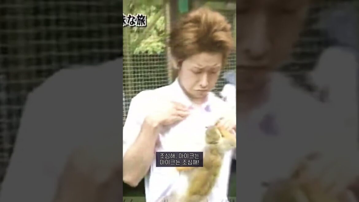 마이크 뺏겨서 마츠쥰한테 혼나는 사토시#大野智