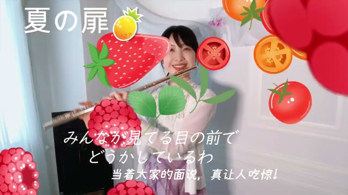 夏の扉（夏季之门　여름의 문）/松田聖子　Flute Cover