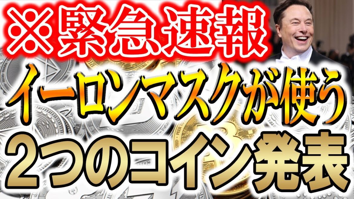 ※速報※ついにイーロンマスクの決済通貨が分かりました！【仮想通貨/暗号資産】