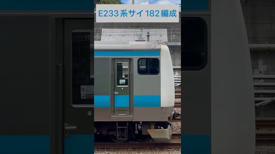JR東日本 京浜東北線 E233系1000番台 サイ182編成 (海側・鉄道サイドビュー) 【JR EAST 2023.8 / TRAIN SCAN】