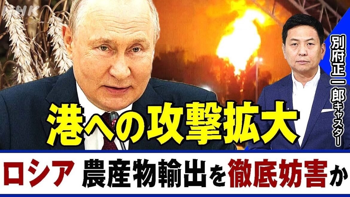 NHK | ロシアの攻撃が拡大 ウクライナ産の農産物の輸出を徹底的に妨害か ドナウ川沿いの港にまで攻撃を広げる 別府正一郎キャスターが解説｜キャッチ!世界のトップニュース