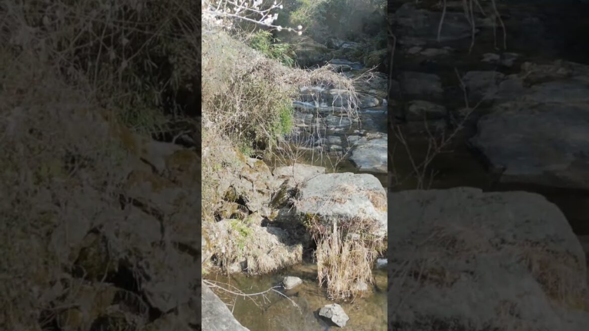 「最期の川」チャン・ユンジョン Cover by Aki Azuma 東あき Shot