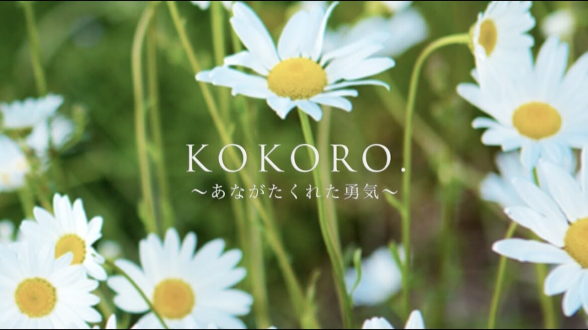 【追悼】小林麻央さん/KOKORO