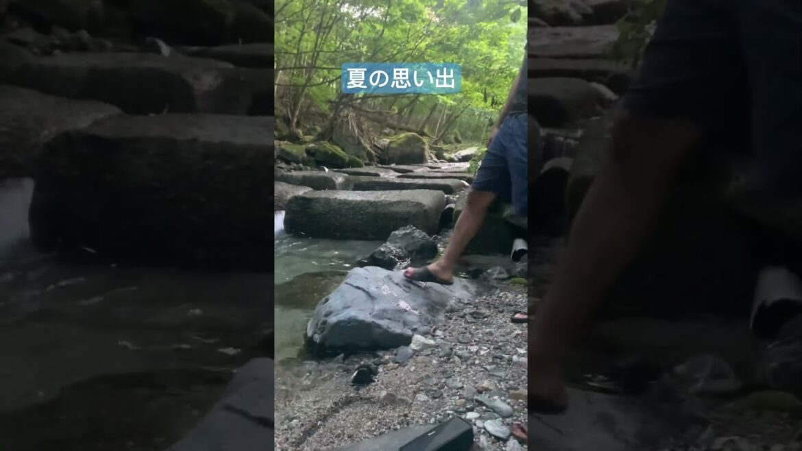【キャンプ】2023年　夏の思い出　山梨県　道志村　キャンプ　癒し　川の音　水の音 #camping  #asmr  #watersounds
