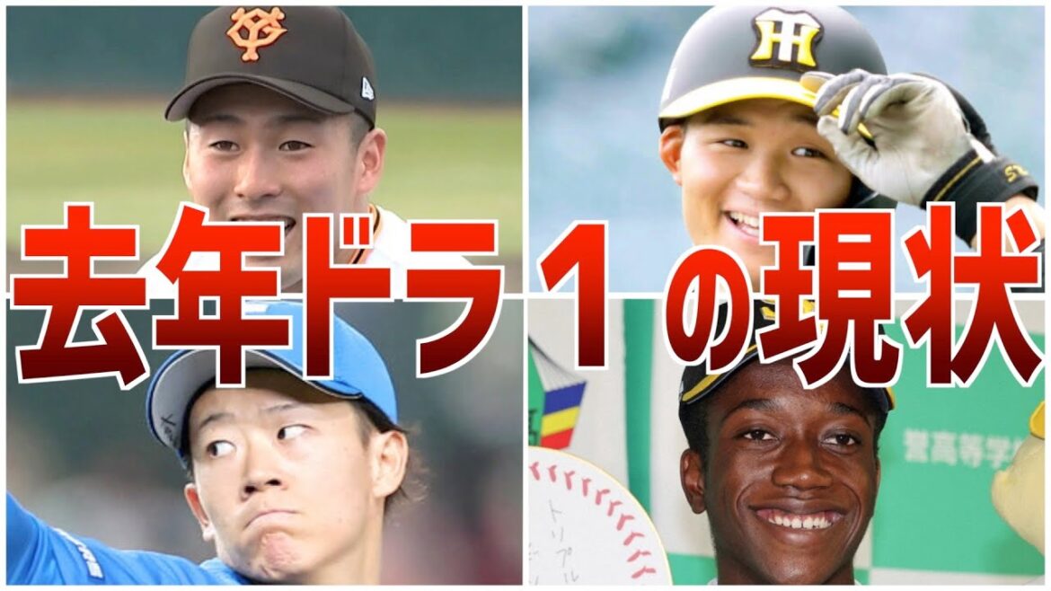 【ドラ１の成績】2022年ドラフト1位選手たちの現時点での答え合わせ