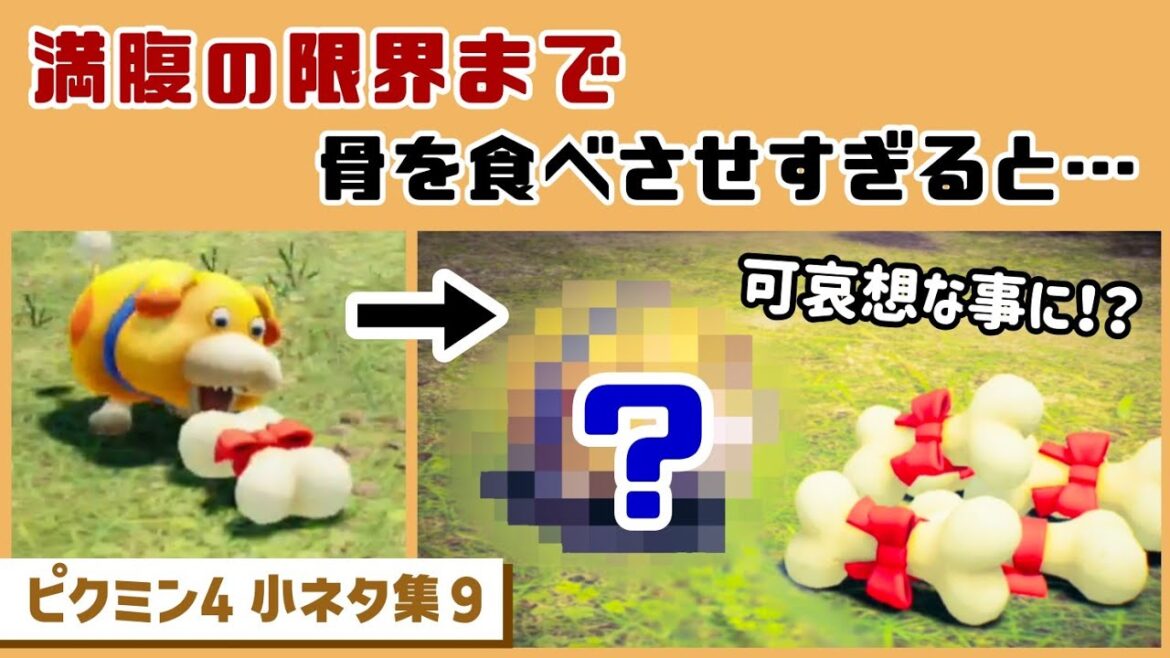 【ピクミン4】オッチンに「満腹の限界」まで骨を食べさせすぎると…可哀想な事に…！？ゲームに隠れた細かすぎる小ネタ集９【PIKMIN 4】@レウンGameTV