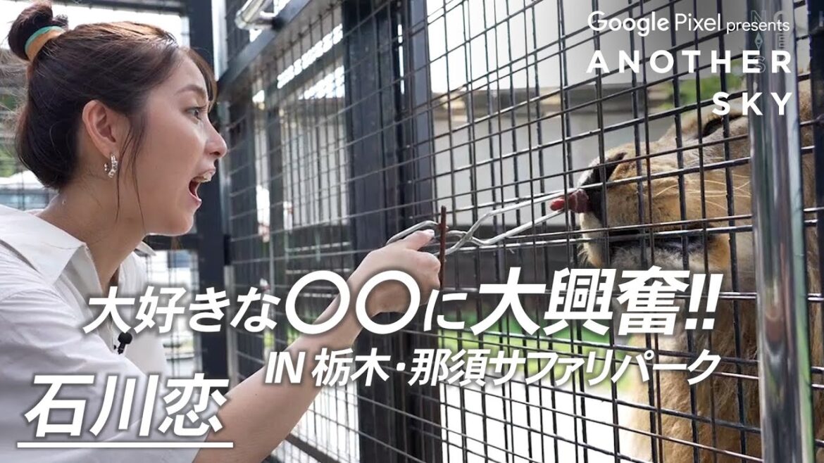 【地上波未公開】石川恋さんが大好きな◯◯に大興奮！！ IN 栃木・那須サファリパーク