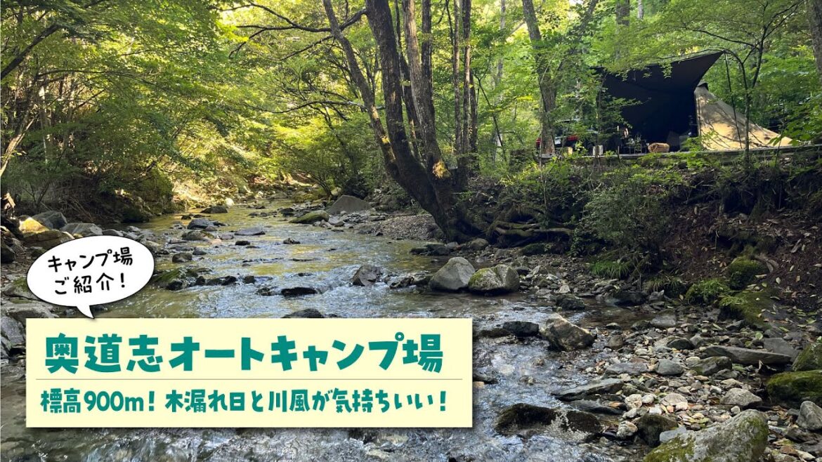 【奥道志オートキャンプ場紹介】山梨県道志村の高規格なオートキャンプ場「奥道志オートキャンプ場」を隅々まで歩き回ってご紹介します！素人キャンパー視点のロッドちゃんが、わかりやすくお届けします。