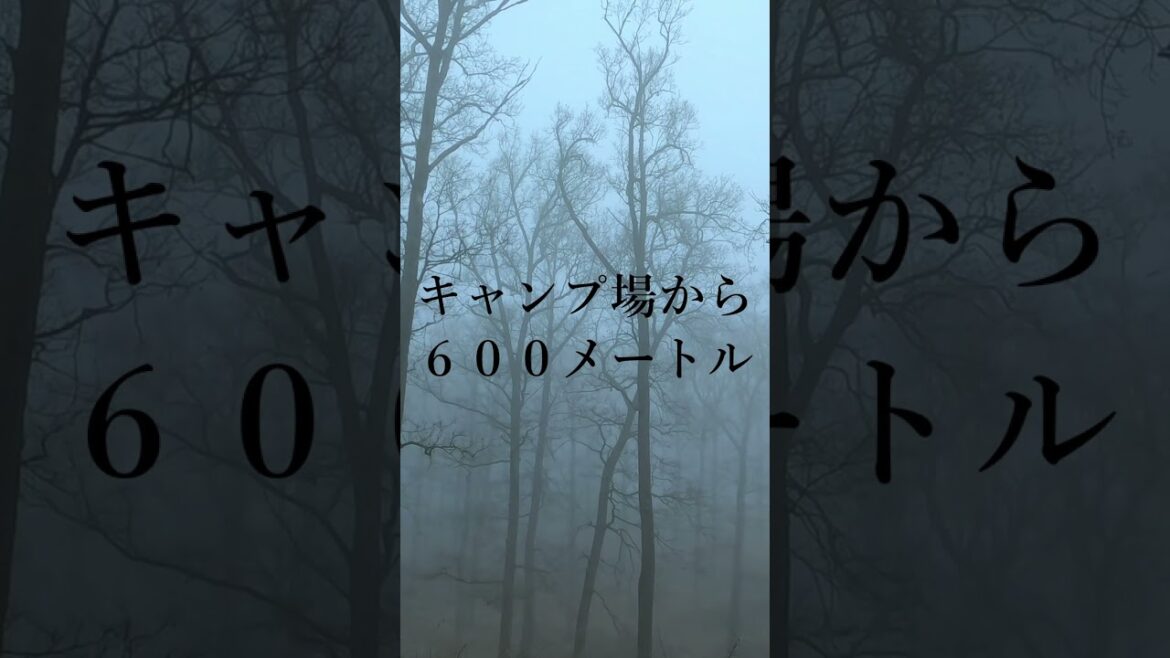 【山梨県・山梨キャンプ場女児失踪事件】キャンプ場で突然姿を消した少女…大規模な捜索でも発見できなかったが、数年後に…【４７都道府県ご当地事件簿㉗】#shorts