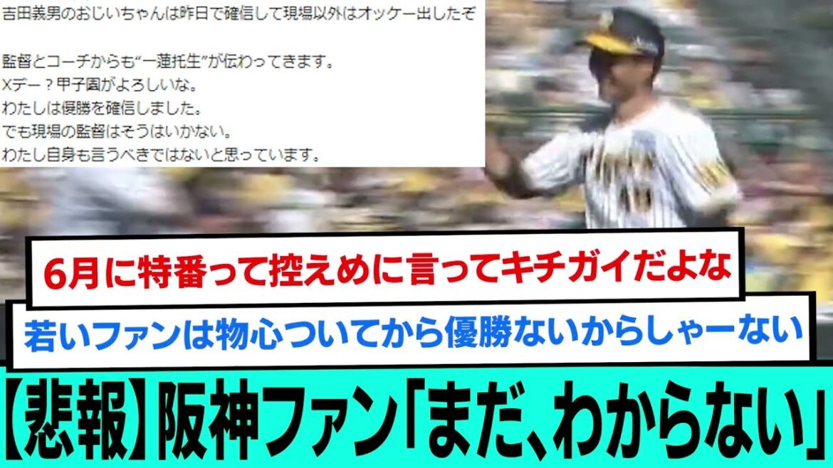 【悲報】阪神ファン「まだ、わからない」【阪神タイガース7連勝/なんJ反応まとめ 2chスレ5chスレまとめ/大竹耕太郎/佐藤輝明/ノイジー/近本光司/岩崎優/マジック7/2023年9月9日】