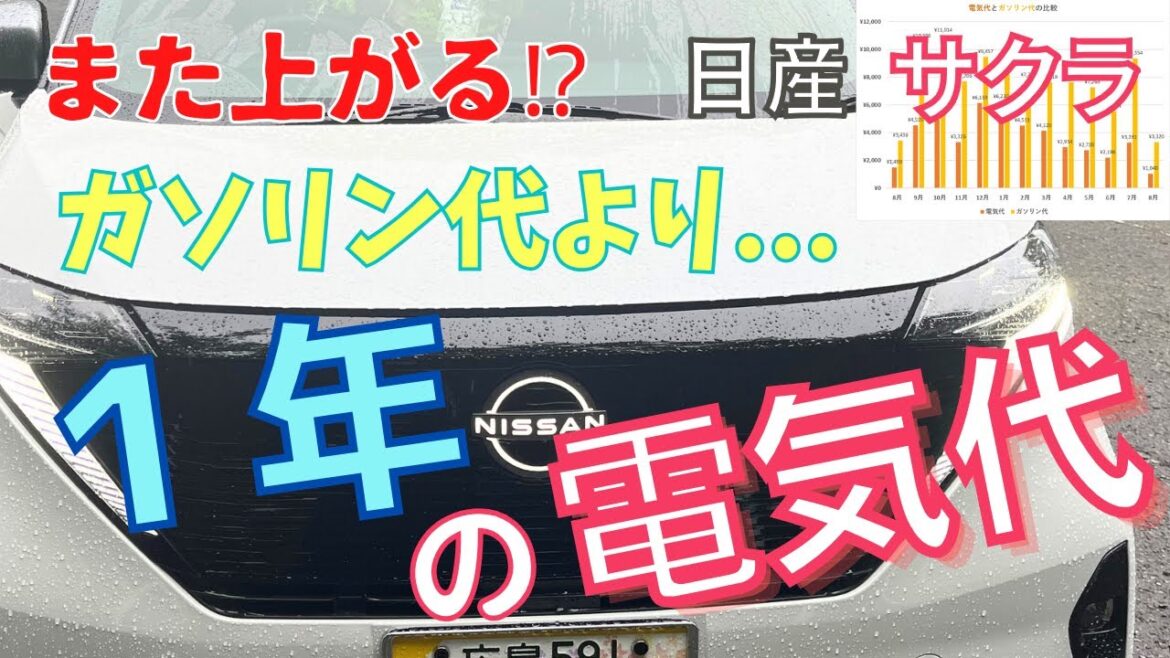 【日産サクラ】１年実用のリアル！早くも〇〇車！？今後の電力攻略とEV動向