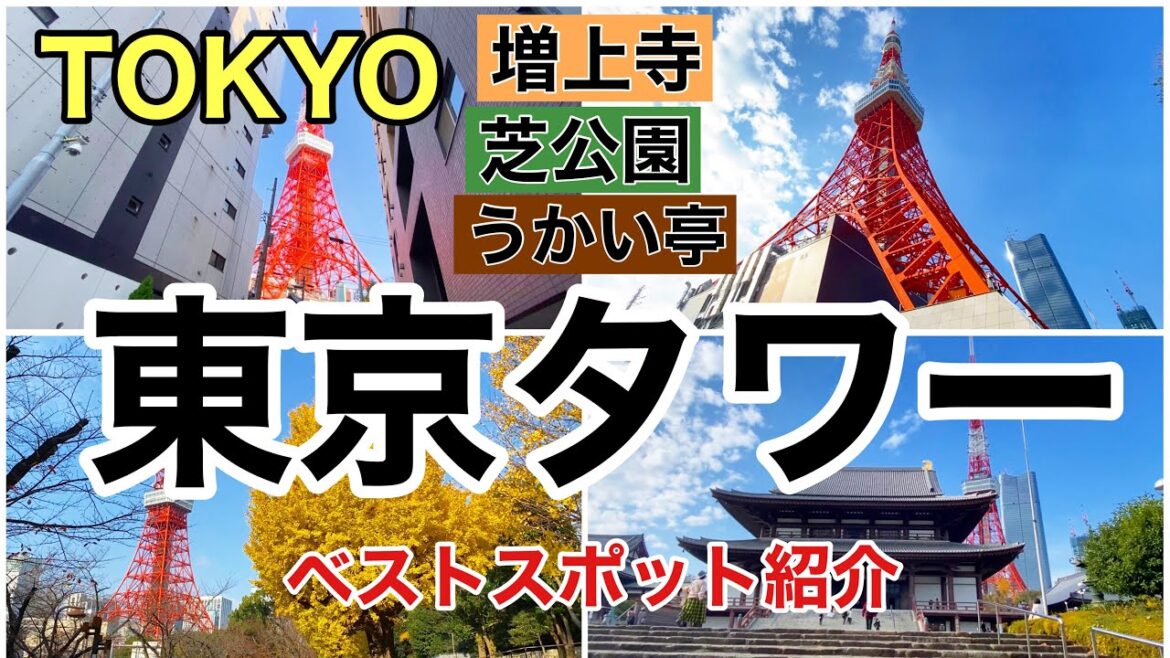 【東京タワー】🗼BESTスポット紹介！オススメお散歩コース🌸【TOKYO】