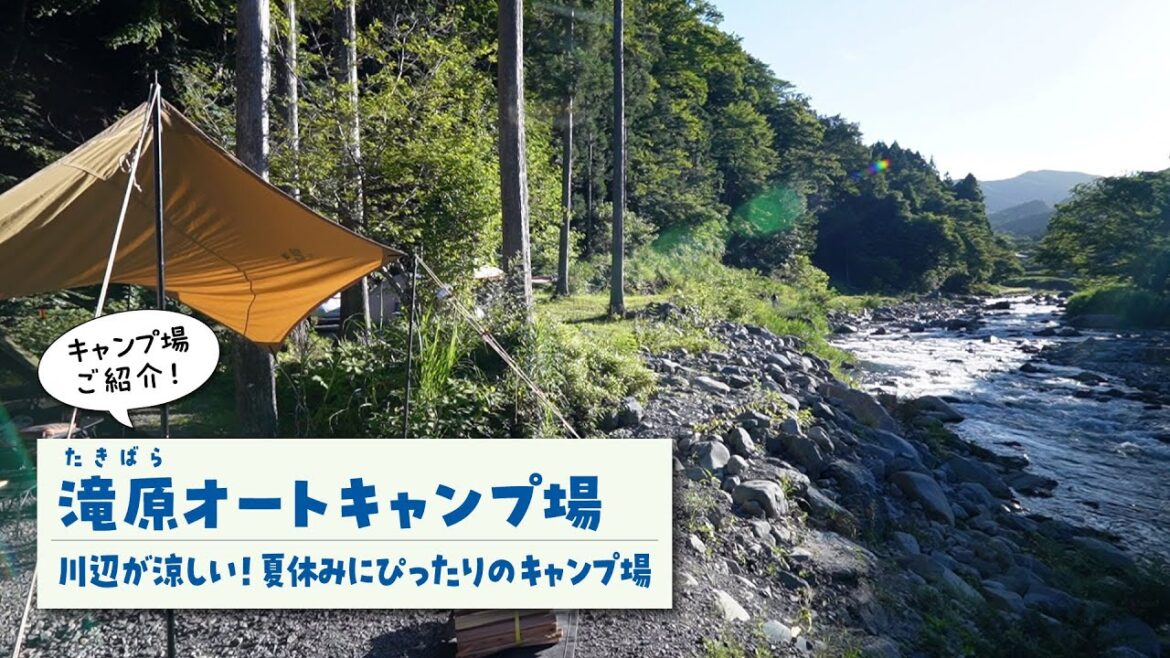 【滝原オートキャンプ場紹介】山梨県道志村の川沿いキャンプ場「滝原（たきばら）オートキャンプ場」を隅々まで歩き回ってご紹介します！素人キャンパー視点のロッドちゃんが、わかりやすくお届けします。