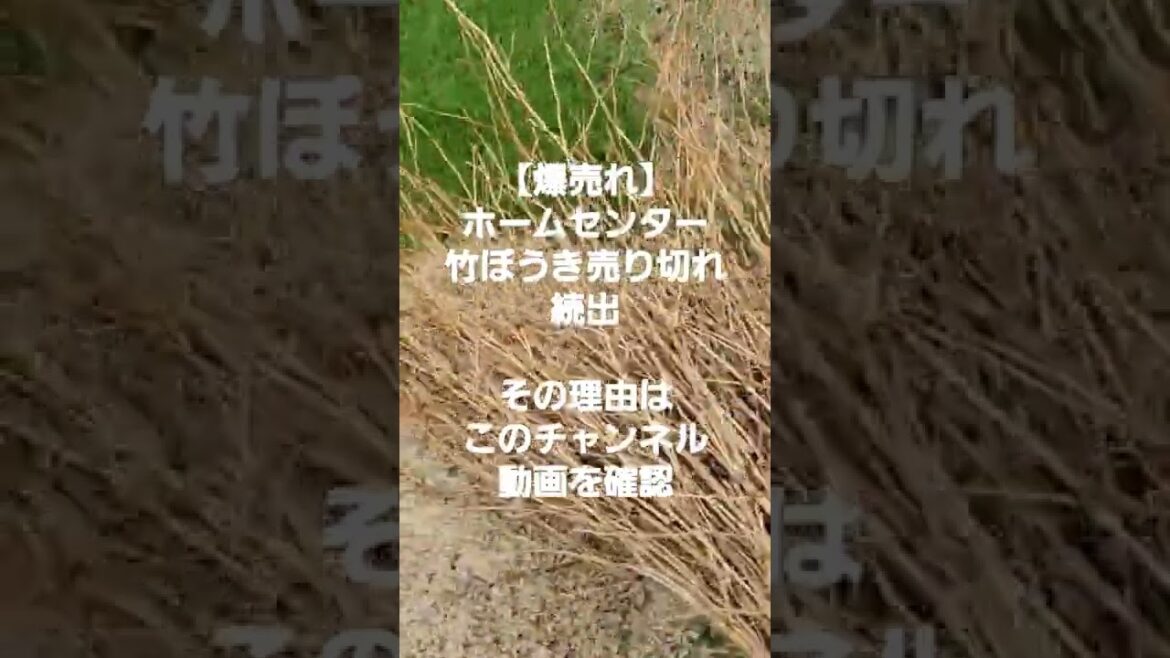 【爆売れ】ホームセンターから竹ぼうきが無くなった理由