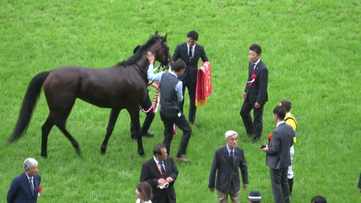 【目黒記念2023】口取り～表彰式 現地映像 ヒートオンビート