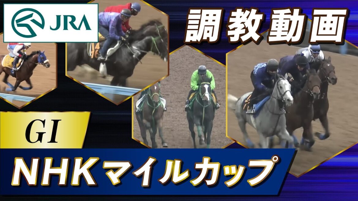 【調教動画】2023年 NHKマイルカップ｜JRA公式