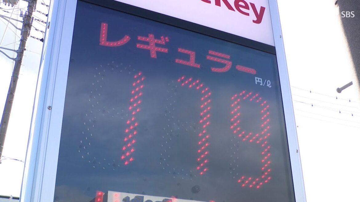 ガソリン価格18週ぶりに値下がりも…補助金特効薬にならず?消費者も「ちょっと頼みますって感じ」